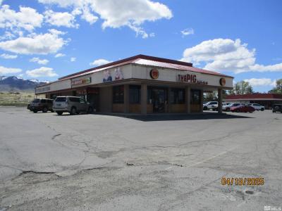 1139 W Winnemucca Boulevard, Winnemucca, ネバダ 89445, アメリカ合衆国