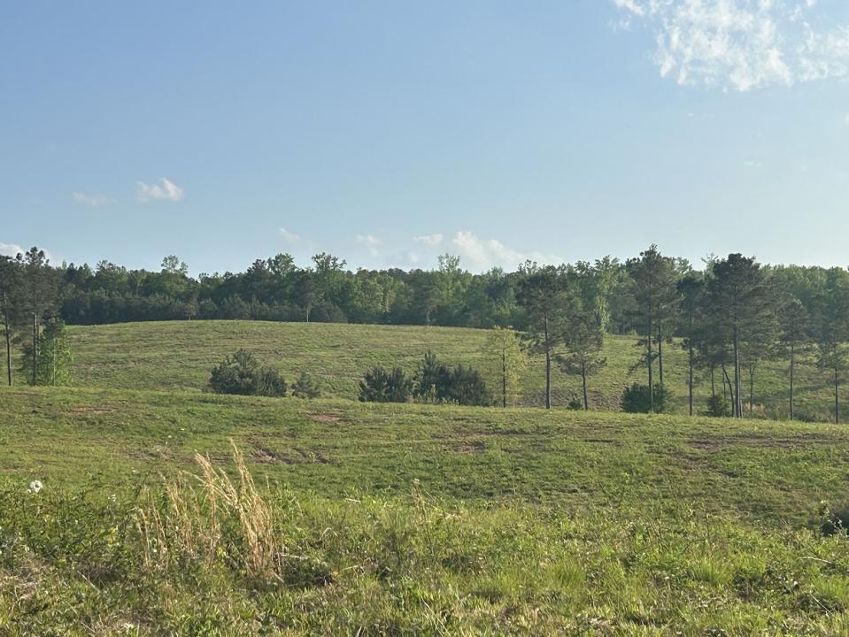 0 Needmore Road- (345.37 Acres), Roopville, Georgia 30170