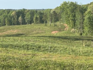 0 Needmore Road- (345.37 Acres), Roopville, Georgia 30170