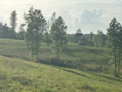 0 Needmore Road- (345.37 Acres), Roopville, Georgia 30170