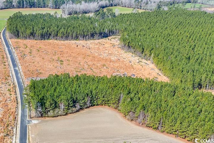 4791 Grainger Circle, Green Sea, Carolina Do Sul 29545, Estados Unidos