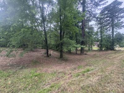 0 Holly Creek Rd., Texarkana, テキサス 75503, アメリカ合衆国