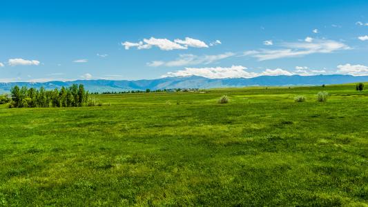 Tbd N Upper Road, Sheridan, Wyoming 82801, USA