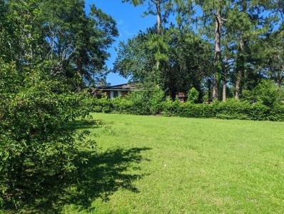 00 Martin Luther King Jr. Avenue, Ashburn, Georgia 31714, USA