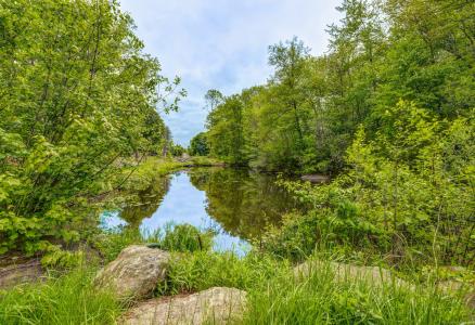 257 Torringford Street, Winchester, Connecticut 06098, USA