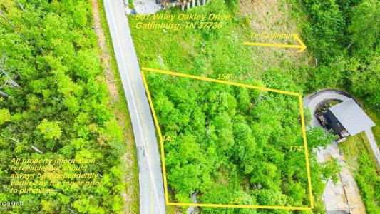 907 Wiley Oakley Drive, Gatlinburg, Теннесси 37738, Соединенные Штаты