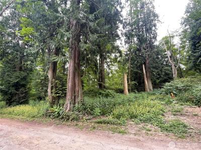 52 F Saratoga Drive, Hat Island, Waszyngton 98206, USA