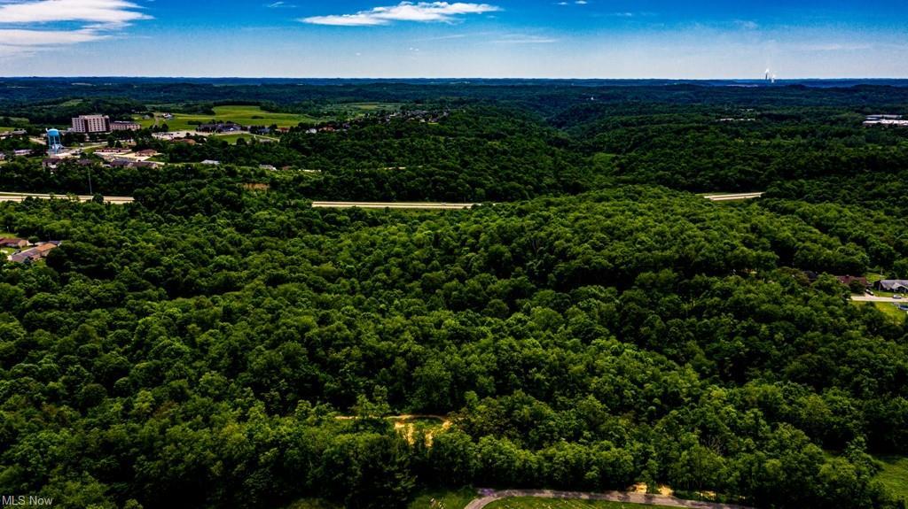 Surrounding Rose Garden, Weirton, Zachodnia Wirginia 26062, USA
