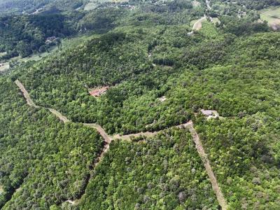 376 Eagles Rest, Blairsville, Georgia 30512