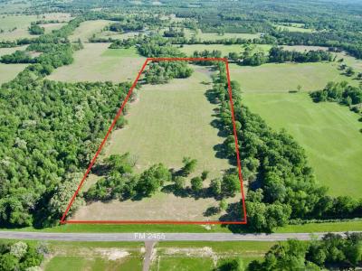 Tbd Fm 2455, Pittsburg, 得克萨斯州 75686, 美国