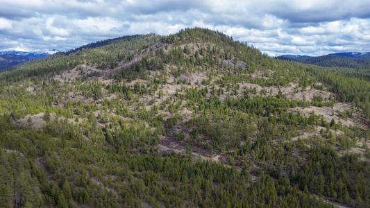 352x Green Rd, Valley, Washington 99181, USA