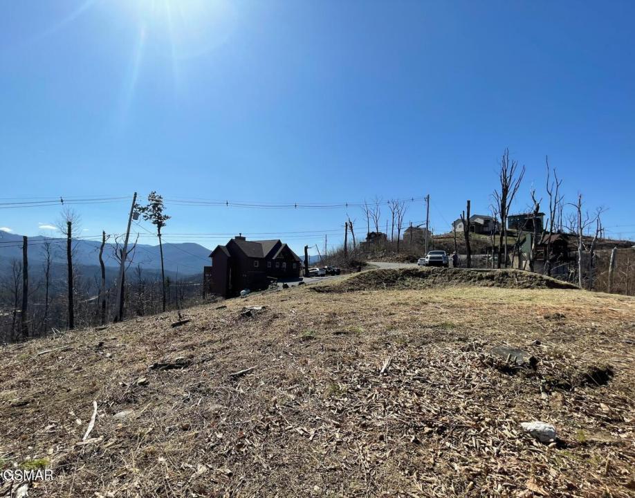 730 Wiley Oakley Drive, Gatlinburg, Tennessee 37738, États-Unis