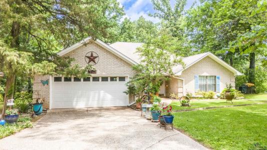 514 Buckeye Hill Rd, Karnack, Texas 75661, États-Unis