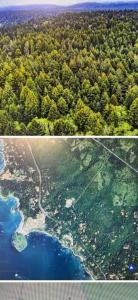 193 Bauder Lane, Trinidad, California 95570, USA