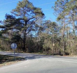 00 Clements Ferry Rd 00 Clements Ferry Road Road, Wando, サウスカロライナ 29492, アメリカ合衆国