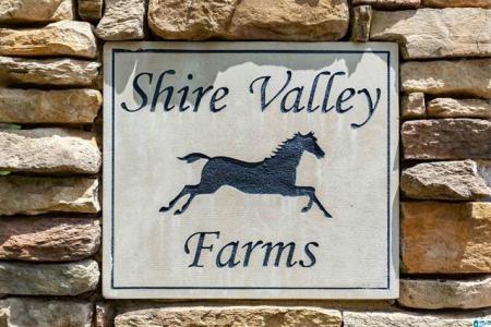 861 Shire Valley Farms, Columbiana, Alabama 35051, États-Unis