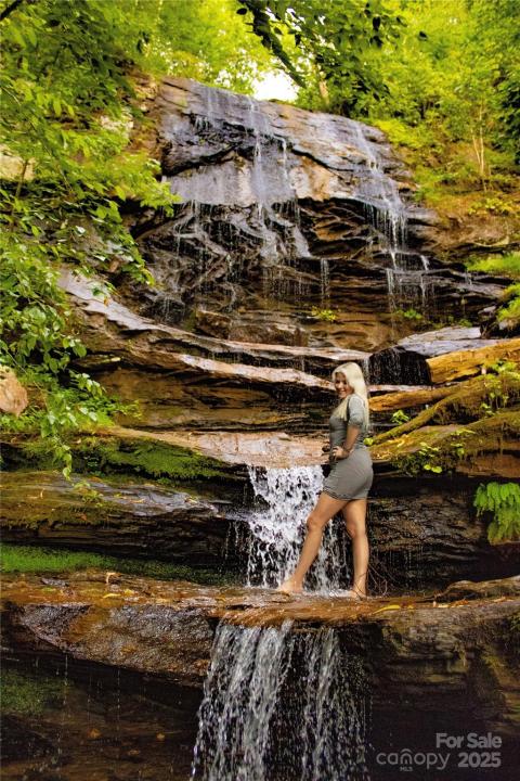 0 The Falls Road, Union Mills, North Carolina 28167, Stati Uniti