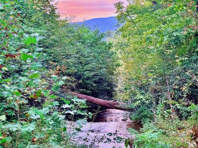 0 The Falls Road, Union Mills, North Carolina 28167, Stati Uniti