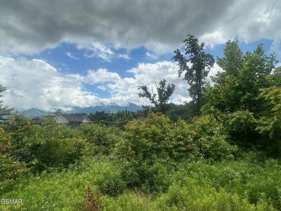 909 Woodland Drive, Gatlinburg, Теннесси 37738, Соединенные Штаты