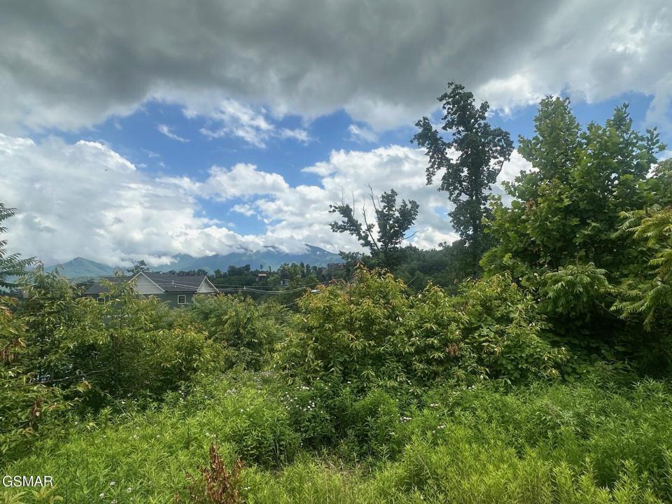 909 Woodland Drive, Gatlinburg, 테네시 37738, 미국