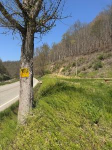 13300 Ky-7, Isom, Kentucky 41824, USA