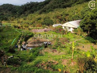 老泉段二小段, Wenshan Dist., Taipei City 116, Taiwan