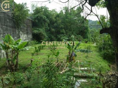 桃米路, بولي بلدة, مقاطعة نانتو 545, تايوان