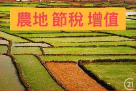 新北段, 平鎮區, Taoyuan 324, Taiwan