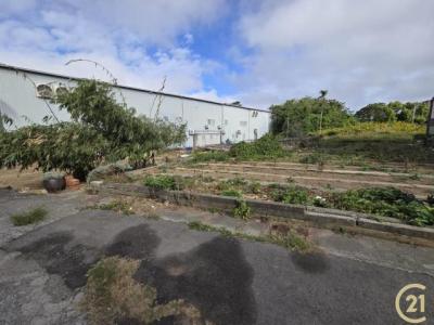 甲后路, Houli Dist., Taichung 421, Taïwan