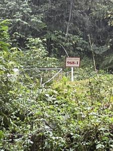 茄福街, Xizhi Dist., نيو تايبيه 221, تايوان