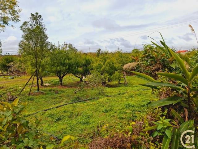 埔尾段, 大溪區, Taoyuan 335, Taiwán