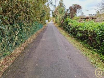 埔尾段, 大溪區, Taoyuan 335, Taiwán