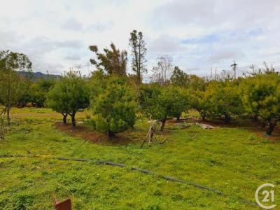 埔尾段, 大溪區, Taoyuan 335, Taiwán