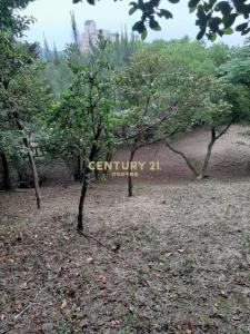 中幅段, Wanli Dist., Nuova Taipei 207, Taiwan