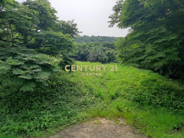 中幅段, Wanli Dist., Nuova Taipei 207, Taiwan