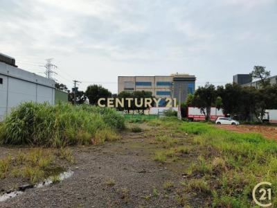 松樹, 大溪區, Taoyuan 335, Taiwan