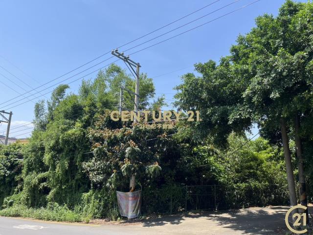 八德段, Hukou Township, Hsinchu County 303, Taiwan