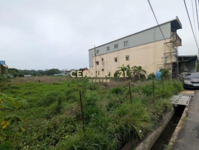 大新路, 蘆竹區, Taoyuan City 338, Taiwan