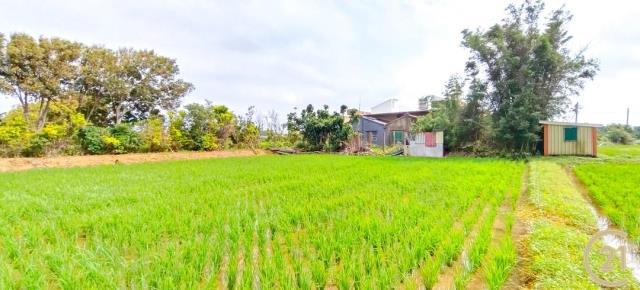 福興段員山子小段, Xinfeng Township, Hsinchu County 304, Taiwan