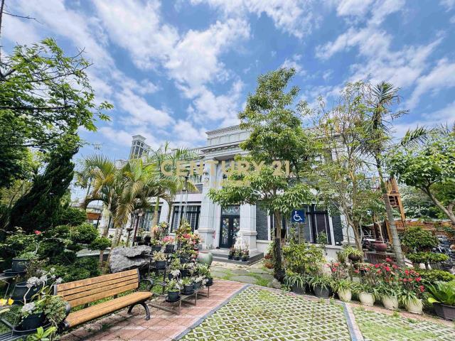 落羽松路, 大溪區, Taoyuan City 335, Taiwan