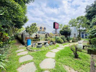 落羽松路, 大溪區, Taoyuan City 335, Taiwan