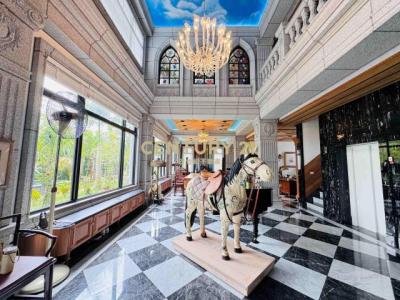 落羽松路, 大溪區, Taoyuan City 335, Taiwan