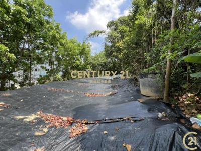 葫蘆墩段, Fengyuan Dist., Taichung 420, Taiwan