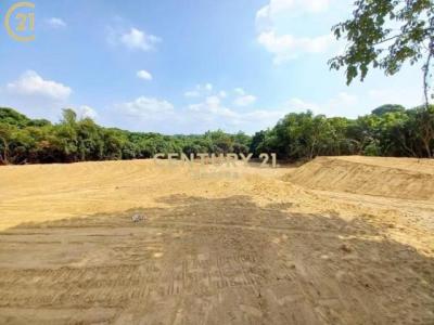 大內段, Danei Dist., Tainan City 742, Taiwan