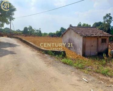 大內段, Danei Dist., Tainan City 742, Taiwan