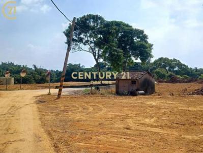 大內段, Danei Dist., Tainan City 742, Taiwan