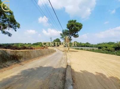 大內段, Danei Dist., Tainan City 742, Taiwan