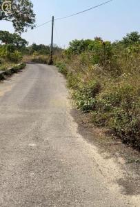 大內段, Danei Dist., مدينة تاينان 742, تايوان