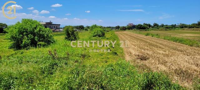 中山西路二段, 新屋區, Taoyuan City 327, Taiwan