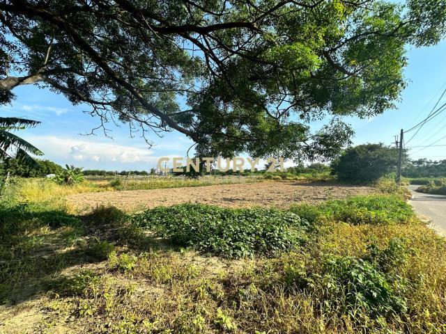 觀音便宜一般農, 觀音區, Đào Viên 328, Đài Loan